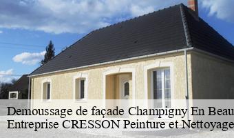 Demoussage de façade  champigny-en-beauce-41330 Entreprise CRESSON Peinture et Nettoyage