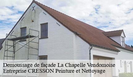 Demoussage de façade  la-chapelle-vendomoise-41330 Entreprise CRESSON Peinture et Nettoyage
