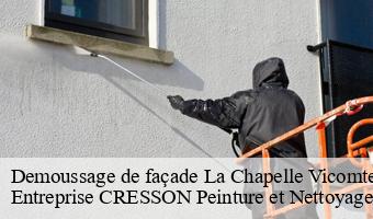 Demoussage de façade  la-chapelle-vicomtesse-41270 Entreprise CRESSON Peinture et Nettoyage