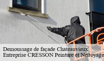 Demoussage de façade  chateauvieux-41110 Entreprise CRESSON Peinture et Nettoyage