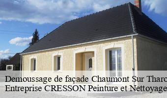 Demoussage de façade  chaumont-sur-tharonne-41600 Entreprise CRESSON Peinture et Nettoyage