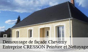 Demoussage de façade  cheverny-41700 Entreprise CRESSON Peinture et Nettoyage