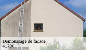 Demoussage de façade  cheverny-41700 Entreprise CRESSON Peinture et Nettoyage