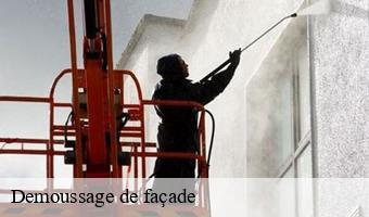 Demoussage de façade  contres-41700 Entreprise CRESSON Peinture et Nettoyage