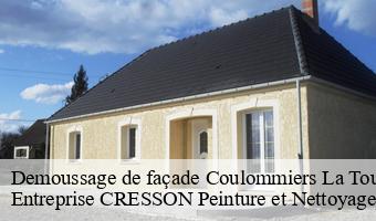 Demoussage de façade  coulommiers-la-tour-41100 Entreprise CRESSON Peinture et Nettoyage