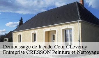 Demoussage de façade  cour-cheverny-41700 Entreprise CRESSON Peinture et Nettoyage