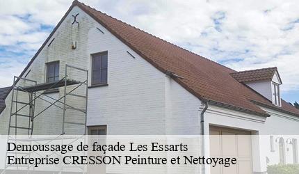 Demoussage de façade  les-essarts-41800 Entreprise CRESSON Peinture et Nettoyage