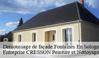 Demoussage de façade  fontaines-en-sologne-41250 Entreprise CRESSON Peinture et Nettoyage