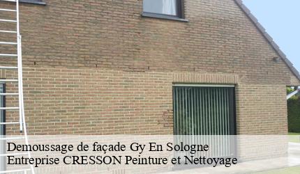 Demoussage de façade  gy-en-sologne-41230 Entreprise CRESSON Peinture et Nettoyage