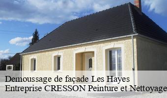 Demoussage de façade  les-hayes-41800 Entreprise CRESSON Peinture et Nettoyage