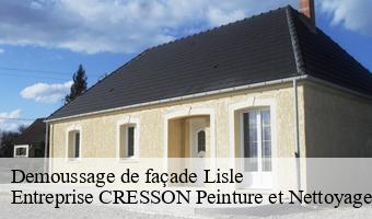Demoussage de façade  lisle-41100 Entreprise CRESSON Peinture et Nettoyage