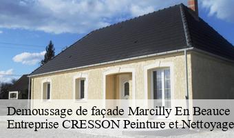 Demoussage de façade  marcilly-en-beauce-41100 Entreprise CRESSON Peinture et Nettoyage