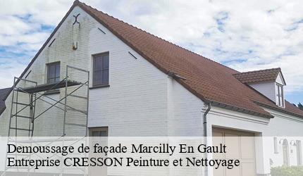 Demoussage de façade  marcilly-en-gault-41210 Entreprise CRESSON Peinture et Nettoyage