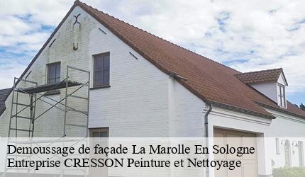 Demoussage de façade  la-marolle-en-sologne-41210 Entreprise CRESSON Peinture et Nettoyage