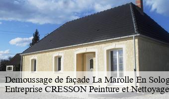Demoussage de façade  la-marolle-en-sologne-41210 Entreprise CRESSON Peinture et Nettoyage