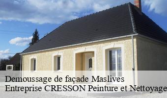 Demoussage de façade  maslives-41250 Entreprise CRESSON Peinture et Nettoyage