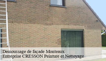 Demoussage de façade  monteaux-41150 Entreprise CRESSON Peinture et Nettoyage