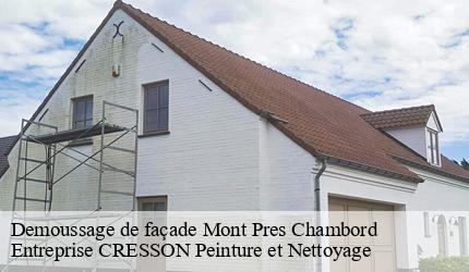 Demoussage de façade  mont-pres-chambord-41250 Entreprise CRESSON Peinture et Nettoyage