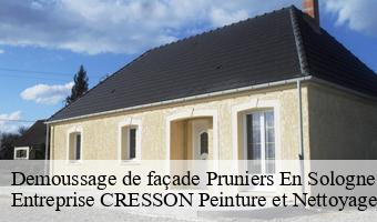 Demoussage de façade  pruniers-en-sologne-41200 Entreprise CRESSON Peinture et Nettoyage