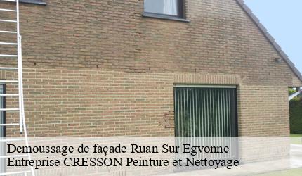 Demoussage de façade  ruan-sur-egvonne-41270 Entreprise CRESSON Peinture et Nettoyage