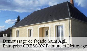 Demoussage de façade  saint-agil-41170 Entreprise CRESSON Peinture et Nettoyage