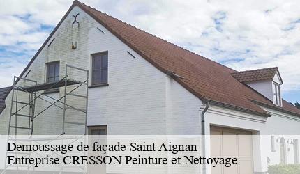 Demoussage de façade  saint-aignan-41110 Entreprise CRESSON Peinture et Nettoyage