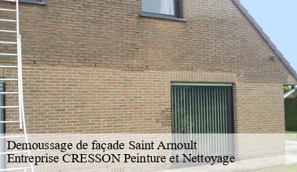 Demoussage de façade  saint-arnoult-41800 Entreprise CRESSON Peinture et Nettoyage