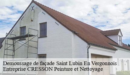 Demoussage de façade  saint-lubin-en-vergonnois-41190 Entreprise CRESSON Peinture et Nettoyage