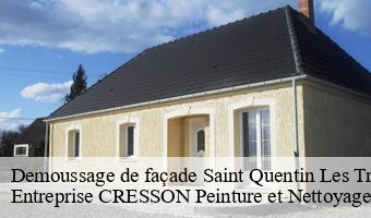 Demoussage de façade  saint-quentin-les-troo-41800 Entreprise CRESSON Peinture et Nettoyage