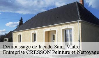 Demoussage de façade  saint-viatre-41210 Entreprise CRESSON Peinture et Nettoyage