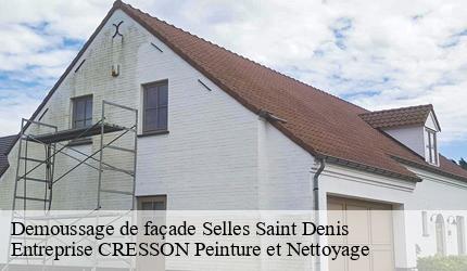 Demoussage de façade  selles-saint-denis-41300 Entreprise CRESSON Peinture et Nettoyage