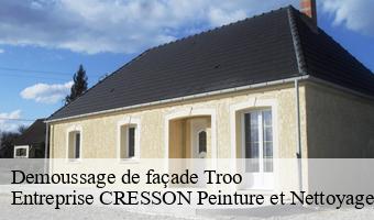 Demoussage de façade  troo-41800 Entreprise CRESSON Peinture et Nettoyage