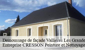 Demoussage de façade  vallieres-les-grandes-41400 Entreprise CRESSON Peinture et Nettoyage
