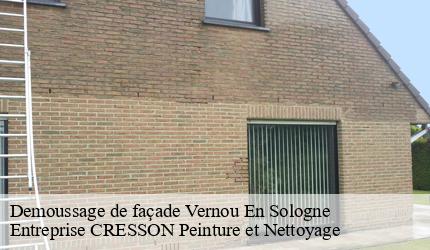 Demoussage de façade  vernou-en-sologne-41230 Entreprise CRESSON Peinture et Nettoyage