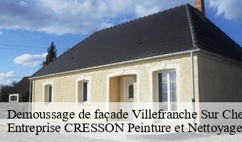 Demoussage de façade  villefranche-sur-cher-41200 Entreprise CRESSON Peinture et Nettoyage
