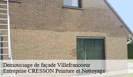 Demoussage de façade  villefrancoeur-41330 Entreprise CRESSON Peinture et Nettoyage
