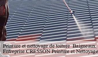 Peinture et nettoyage de toiture   baigneaux-41290 Entreprise CRESSON Peinture et Nettoyage