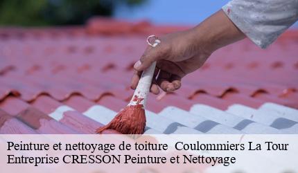 Peinture et nettoyage de toiture   coulommiers-la-tour-41100 Entreprise CRESSON Peinture et Nettoyage