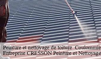 Peinture et nettoyage de toiture   coulommiers-la-tour-41100 Entreprise CRESSON Peinture et Nettoyage