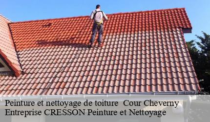 Peinture et nettoyage de toiture   cour-cheverny-41700 Entreprise CRESSON Peinture et Nettoyage
