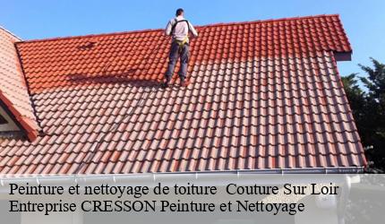 Peinture et nettoyage de toiture couture-sur-loir-41800 Entreprise CRESSON Peinture et Nettoyage