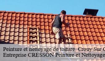 Peinture et nettoyage de toiture   crouy-sur-cosson-41220 Entreprise CRESSON Peinture et Nettoyage