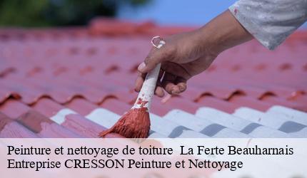 Peinture et nettoyage de toiture   la-ferte-beauharnais-41210 Entreprise CRESSON Peinture et Nettoyage