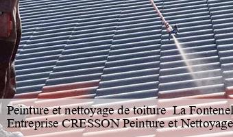 Peinture et nettoyage de toiture   la-fontenelle-41270 Entreprise CRESSON Peinture et Nettoyage