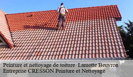 Peinture et nettoyage de toiture lamotte-beuvron-41600 Entreprise CRESSON Peinture et Nettoyage
