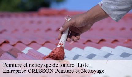 Peinture et nettoyage de toiture   lisle-41100 Entreprise CRESSON Peinture et Nettoyage