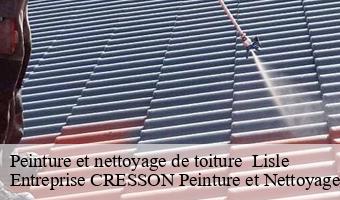 Peinture et nettoyage de toiture   lisle-41100 Entreprise CRESSON Peinture et Nettoyage