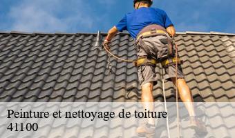 Peinture et nettoyage de toiture   lisle-41100 Entreprise CRESSON Peinture et Nettoyage