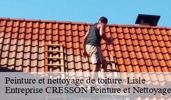 Peinture et nettoyage de toiture   lisle-41100 Entreprise CRESSON Peinture et Nettoyage