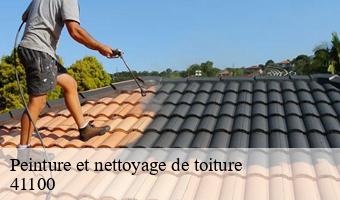 Peinture et nettoyage de toiture   lisle-41100 Entreprise CRESSON Peinture et Nettoyage